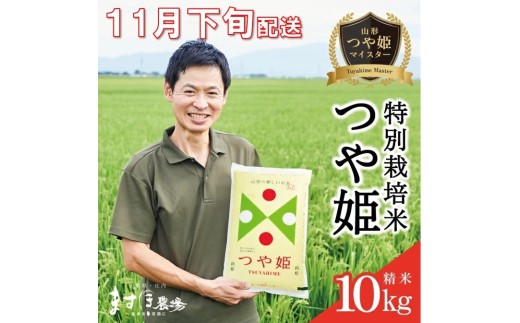 11{z^ߘa7NYyāzP}CX^[ ʍ͔|āwPx10kg(5kg×2)m_Ew엿n MA SE0407R`cs30000āEp