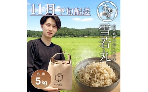 11月下旬配送/令和7年産【玄米】雪若丸 5kg 農家直送 HO SB0732山形県酒田市15000米・パン玄米・雑穀米・もち米・餅