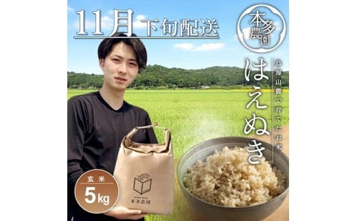 11月下旬配送/令和7年産【玄米】はえぬき 5kg 農家直送 HO SA2680山形県酒田市14000米・パン玄米・雑穀米・もち米・餅