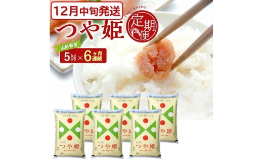 12{Jn^y6ցz ʍ͔| P 5kg×6A v30kg ߘa7NY R`Y     ͂  cs  R` k _ JAł SM0039R`cs9600