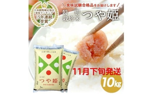 11{z^P v10kg 5kg×2 ʍ͔| ߘa7NY R`Y     uh  k R` cs  ꊇ JAł _ SE0432R`cs35000āEp