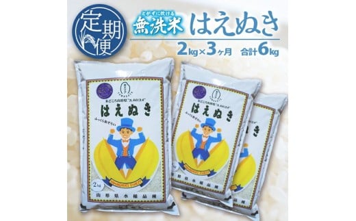 【3回定期便】無洗米 はえぬき 2kg×3回(計6kg) SA SC0620山形県酒田市22000米・パン無洗米