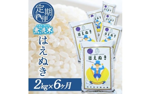 【6回定期便】無洗米 はえぬき 2kg×6回(計12kg) SA SF0290山形県酒田市43000米・パン無洗米