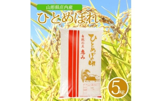 令和7年産【精米】ひとめぼれ 5kg×1袋 AK SA2772山形県酒田市14000米・パン白米