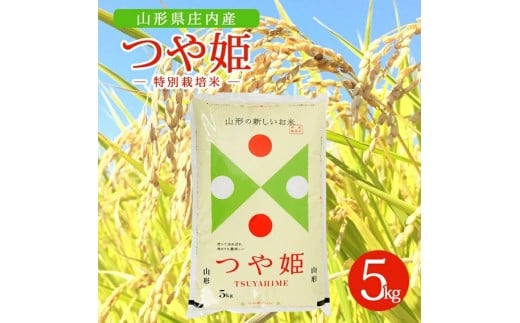 令和7年産【精米】特別栽培米 つや姫 5kg×1袋  AK SB0781山形県酒田市17000米・パン白米