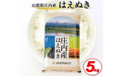 令和7年産【精米】庄内産 はえぬき 5kg×1袋 JM SB0784山形県酒田市15000米・パン白米