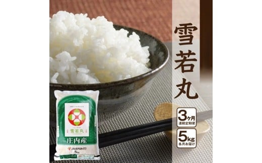 y3ցzmānہ@5kg×3(v15kg) JM SF0299R`cs48000āEp