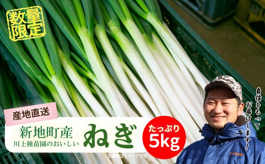 新地町産 長ネギ 約5kg 1箱 | 野菜 やさい 食品 人気 おすすめ  ねぎ ネギ 葱 長ねぎ お取り寄せ 福島県 新地町 白ねぎ 鍋福島県新地町9000野菜・きのこ玉ねぎ・ねぎ