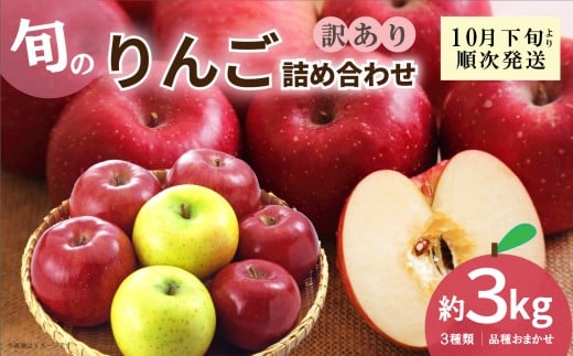 新地町産 りんご 詰め合わせ 訳あり  約3kg 1箱  | 果物 くだもの リンゴ フルーツ 旬 産地直送 農家直送 食品 人気 おすすめ  お取り寄せ 福島県 新地町 訳アリ わけあり 葉とらず福島県新地町