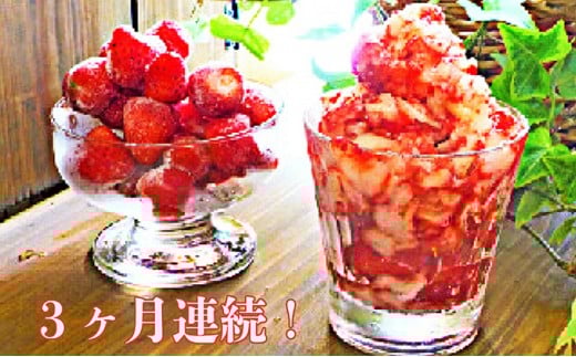 3�����A���I����Y���n�Ⓚ�C�`�S2kg [��5812-0229]�É�������s50000�ʕ��E�t���[�c������