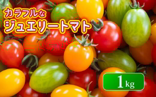 WG[ g}g 1kg t[c g}g Ƃ܂ n Â ~jg}g v` { Y  y؎ꌧ쒬10000؁Êg}g