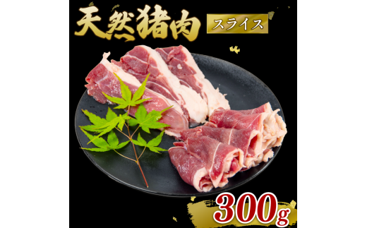  XCX 300g WrG  CmVV ̂  ē {^   J[ N h{ | Ⓚ _CGbg ꌧ 쒬Y 쒬ꌧ쒬10000WrG