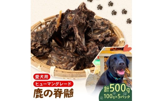 p VJ  Ґ 100g×5  WrG ybgt[h hbOt[h ybg S N   Y ͂ ybg ybgpi ybgt[h ̂  p ybgp Jꌧ쒬100