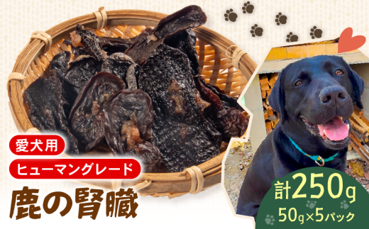 犬用 シカ の 腎臓 スライス 50 g× 5 袋 ジビエ  鹿肉 肉 鹿 ペットフード ドッグフード ペット 安心 健康 おやつ 犬 国産 ごはん ペット ペット用品 ペットフード 犬のおやつ  犬用 ペット用 ご