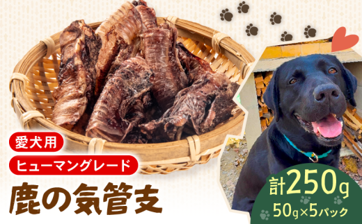 犬用 シカ の 気管支 50 g× 5 袋 ジビエ  鹿肉 肉 鹿 ペットフード ドッグフード ペット 安心 健康 おやつ 犬 国産 ごはん ペット ペット用品 ペットフード 犬のおやつ  犬用 ペット用 ご褒美滋