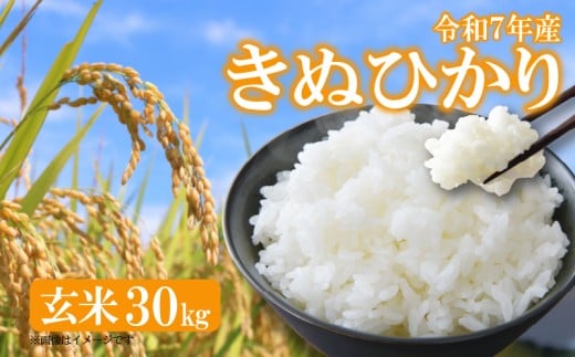 y Vė\ z ߘa7NY V ʂЂ   30kg Y ꌧ 쒬 _ƒ    Yn ӂ邳Ɣ[Ŏꌧ쒬60000āEpāEGāEāE