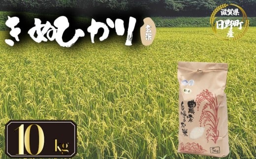 【 令和7年産 新米 10kg 】 きぬひかり 米 玄米 国産 滋賀県 日野町 農家直送 お米 おこめ こめ 産地直送 ふるさと納税滋賀県日野町26000米・パン玄米・雑穀米・もち米・餅