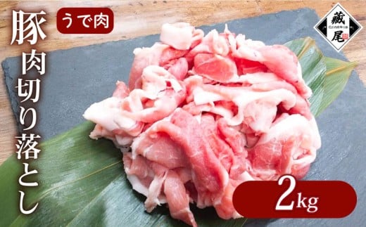 ؓ r ؂藎Ƃ 2kg א؂ ܂ Ⓚ ^    |[N œ  Y W[V[ Ԃ ؏` p ٓ  ӂ͂ ґ Mtg 蕨  ꌧ