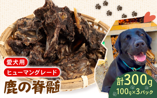 p VJ  Ґ 100g×3  WrG ybgt[h hbOt[h ybg S N   Y ͂ ybg ybgpi ybgt[h ̂  p ybgp Jꌧ쒬700