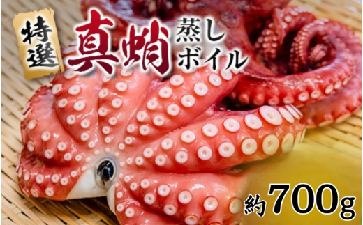 \大容量/ たこ 真蛸 蒸しボイル 約700g 1尾 蛸 タコ 刺身 刺し身 たこ焼き たこやき たこ飯 たこ刺し カルパッチョ 酢の物 まだこ サラダ パスタ 唐揚げ 人気 おすすめ おつまみ 海鮮 魚介大
