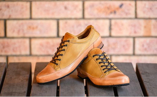 ׯެҲގvGLK2001iײ׳݁j24.5cmK [5990-7106]0145ޗǌaSRs50000ߗށEiEH|iCE