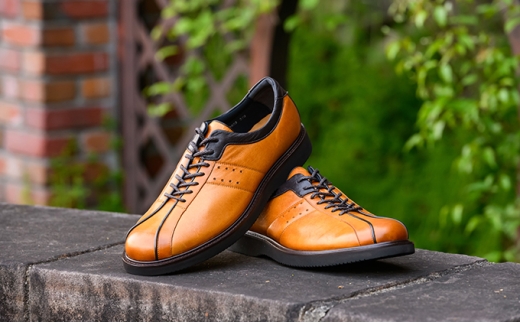 ׯެҲޔnvGLK2003iײ׳݁j24.5cmK [5990-7154]0153ޗǌaSRs50000ߗށEiEH|iCE