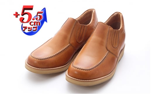 TChSA {v L 4E Ch JWAV[Y Xb| Y@No.523@L 25.0cm [5990-7637]0275ޗǌaSRs48000ߗށEiEH|iCE