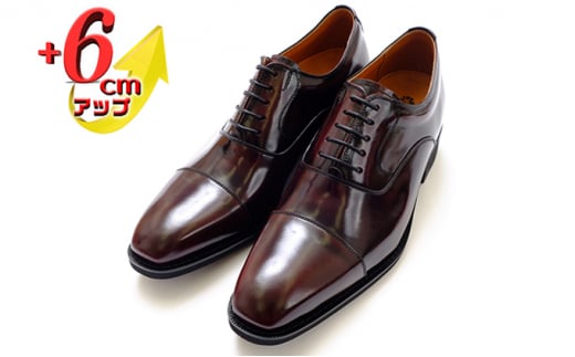 {v rWlXV[Y vC amC 6cmAbv V[NbgV[Y@No.1301@C 26.5cm [5990-7654]0277ޗǌaSRs48000ߗށEiEH|iCE