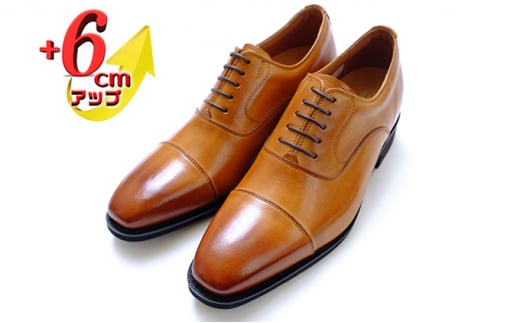 {v rWlXV[Y vC amC 6cmAbv V[NbgV[Y@No.1301@L 24.0cm [5990-7656]0278ޗǌaSRs48000ߗށEiEH|iCE