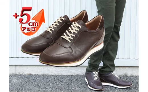 U[Xj[J[ {v JWAV[Y 5cmAbv V[NbgXj[J[ No.801 uE 26.0cm [5990-7805]0305ޗǌaSRs48000ߗށEiEH|iCE