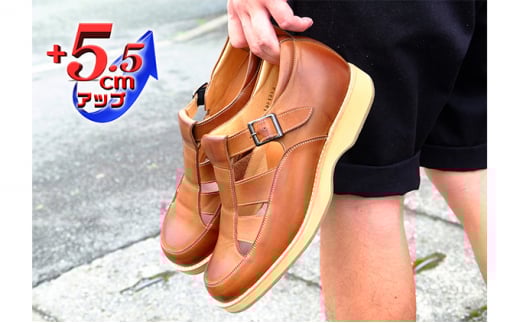 {v L 4E Ch rWlXT_ ItBXT_  5.5cmAbv V[NbgT_ No.567 `R 23.5cm [5990-8035]0338ޗǌaSRs43000ߗށEiEH|iCE