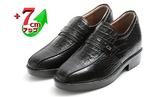 rWlXV[Y {v vC amC vNRX[J 7cmAbv V[NbgV[Y No.236 ubN  23.5cm [5990-8068]0342ޗǌaSRs48000ߗށEiEH|iCE