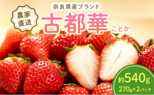 ys\z ޗǌY Ós 540g(270g× 2pbN ) Zbg ] t[c ʕ { Yn _ƒ n {̃t[c {̉ʕ   fU[g Ƃ C`S ①