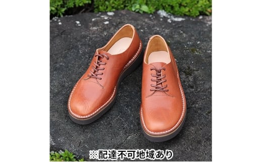 KOTOKAwlC ꖇv_[r[@KTO2000k@L 23.0cm [5990-8608]0430ޗǌaSRs75000ߗށEiEH|iCE