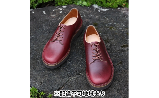 KOTOKA ( RgJ ) wlC ꖇv _[r[ KTO2002L ( o[KfB ) 24.0cm [5990-8628]0433ޗǌaSRs75000ߗށEiEH|iCE