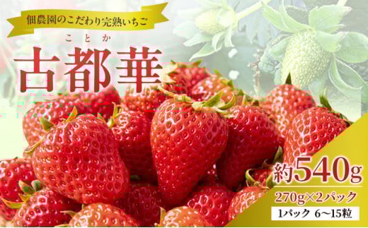 【先行予約】いちご 完熟 古都華 約540g(270g× 2パック ) 佃農園のこだわり 高評価 フルーツ 果物 旬 産地直送 旬の果物 おやつ デザート ことか イチゴ 冷蔵 冷蔵配送 奈良県 大和郡山市 [5990