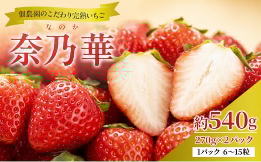【先行予約】いちご 完熟 奈乃華 約540g(270g× 2パック ) 佃農園のこだわり フルーツ 果物 旬 産地直送 旬のフルーツ 旬の果物 お取り寄せ おやつ デザート イチゴ 苺 なのか 冷蔵 冷蔵配送 奈