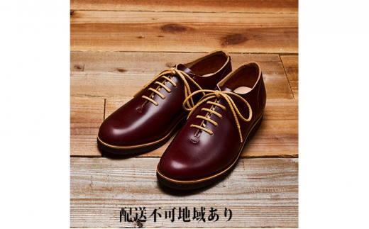 KOTOKA@ 򒹃z[Jbg@o[KfB@  fB[X 23.5cm [5990-5441]0541ޗǌaSRs70000ߗށEiEH|iCE