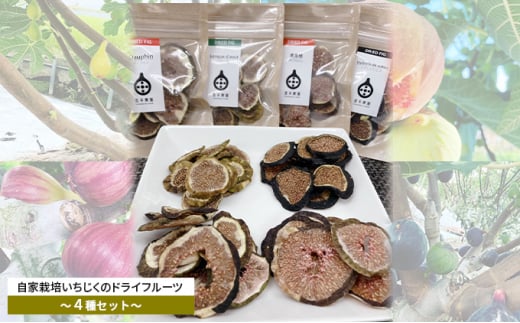 ƍ͔|̃hCt[c`HהׂSZbg` [5990-0681]ޗǌaSRs14000ʕEt[c