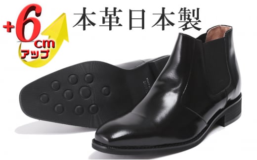 TChSAu[c Y {v vC 6cmAbv V[NbgV[Y No.1304 ubN 25.0cm [5990-6370]0757ޗǌaSRs48000ߗށEiEH|iCE