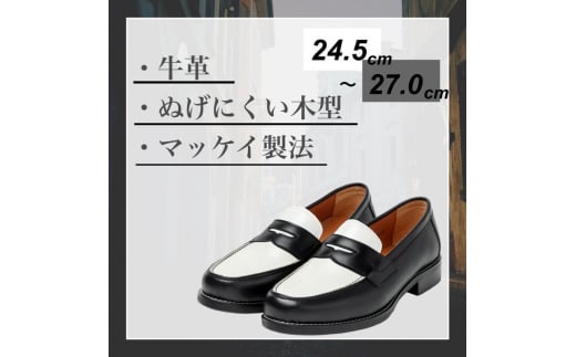 [t@[ CS1310 ubNzCg 24.5cmy t@bV V[Y C o z [5990-6417]0765ޗǌaSRs41000ߗށEiEH|iCE