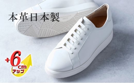 U[Xj[J[ {v Y vX[X JWA amC { [Jbg OH R [XAbv YV[Y No.831 zCg 24.0cm [5990-4091]ޗǌaSRs58000ߗށE