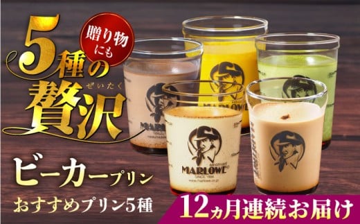 yS12ցztRr[J[v ߃v180g×5ZbgiڂEGXvb\EEkCtbVN[E`R[gjՂ v vlߍ킹 v