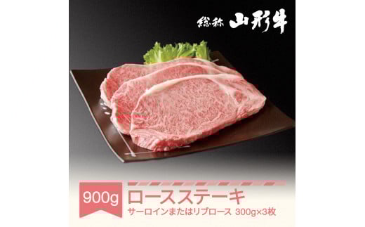 050-C03  R` T[CXe[L܂̓u[XXe[L 3 v900g A5N a Y an-gnstx900R`Rs51000