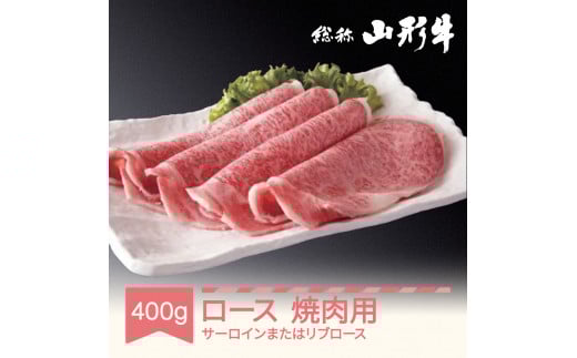 020-C02 R`ēp[XZbg 400g T[C܂̓u[X A5N an-gnrxx400R`Rs21000