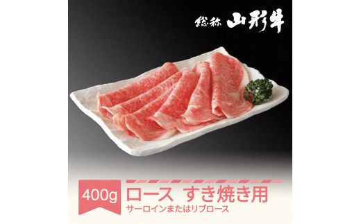 020-C03 R`Ăp400g T[C܂̓u[X A5N a Y an-gnsyx400R`Rs21000