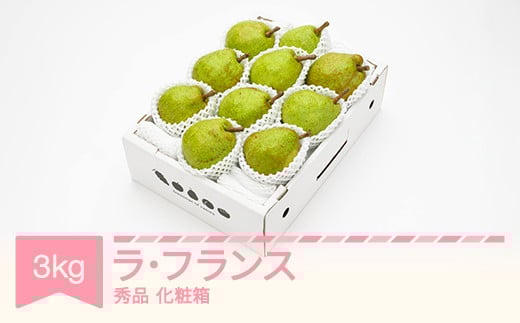 ys\zEtX ϔ 3kg ߘa7NY 2025NY R`Y tX ʕ ns-laxxx3R`Rs13000ʕEt[c񂲁E