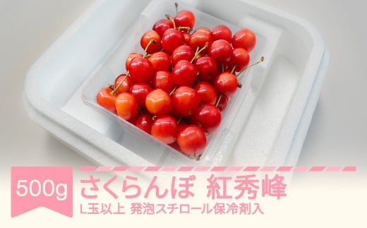 ys\z gG 2026NY ߘa8NY 500g Lʈȏ AX`[ۗܓ  mo-bshax500R`Rs16000ʕEt[c