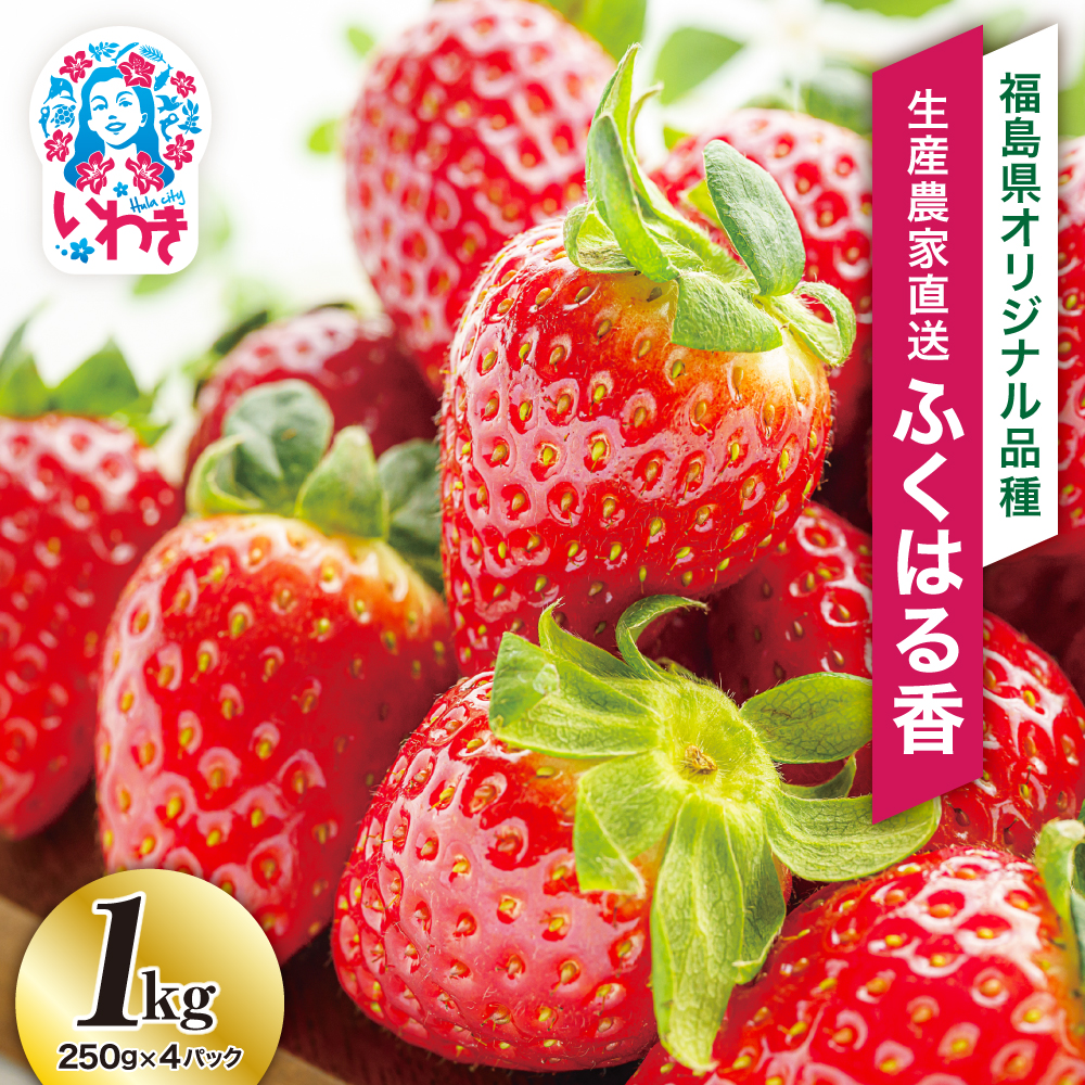 yYnz킫sY@ӂ͂鍁@1kgi250g×4pbNj| BB029킫s15000ʕEt[c