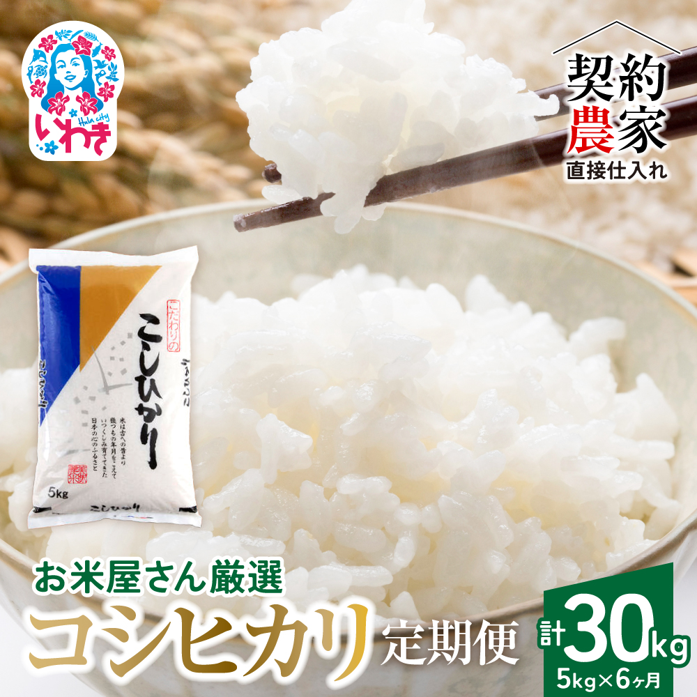【定期便6回】【契約農家直接仕入れ米】福島県いわき市産「コシヒカリ」精米5kg(計30kg)令和7年産 新米(おいしい炊き方ガイド付き) | 福島県産米 いわき市産米 東北 南東北 米どころ 米